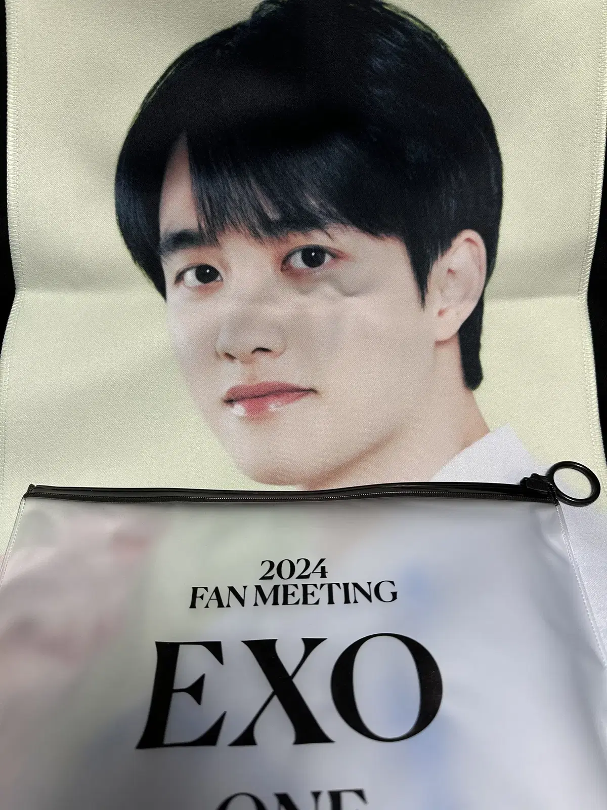 2024 EXO FAN MEETING D.O 슬로건